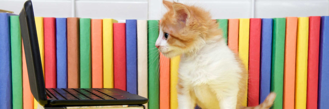 How virtual cats are teaching us about digital scarcity