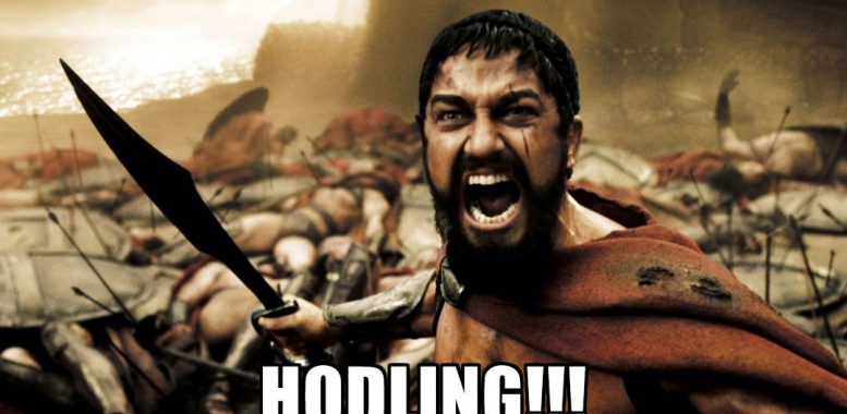 To HODL or Not to HODL? HODL Investment Strategies