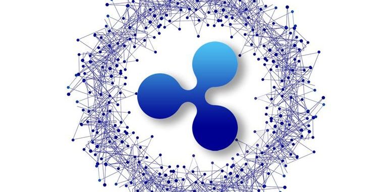 Ripple: Investors Confidence Soars, But Why Its CEO Paints a Bleak Picture