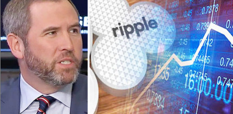 Ripple CEO Brad Garlinghouse Talks About The Reasons For Their Growth And Their Differences With Other Cryptos