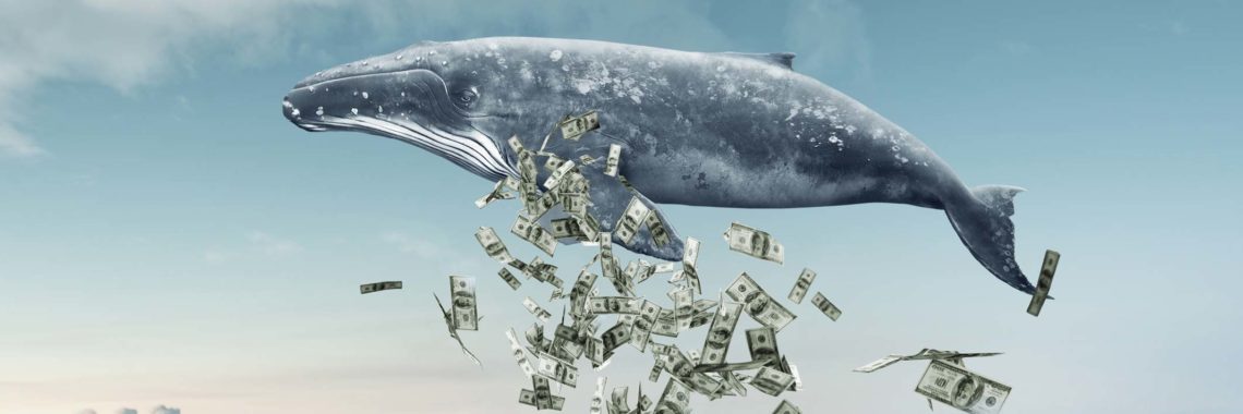 How ‘Whales’ influence the price of Bitcoin