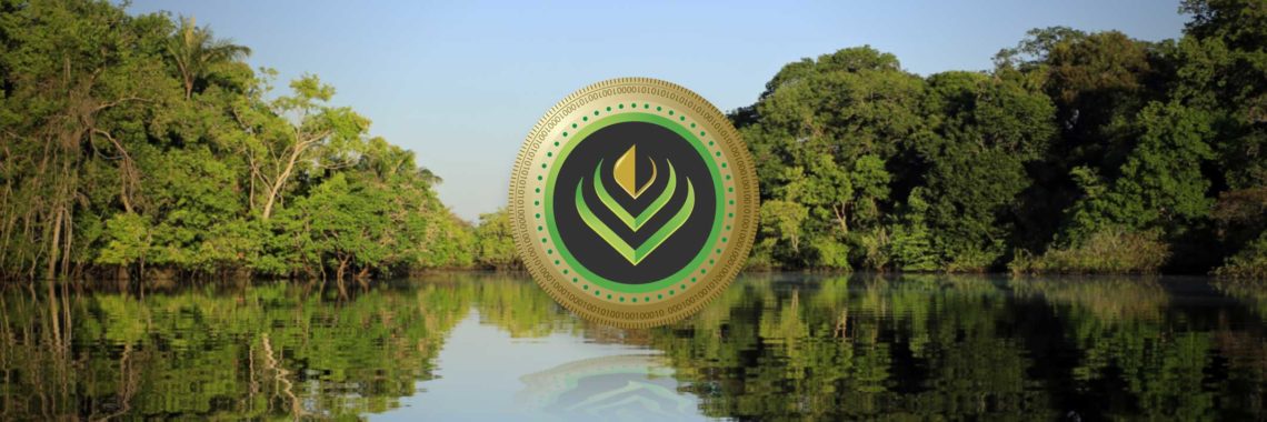 Sustainable investing in blockchain with carbon coins