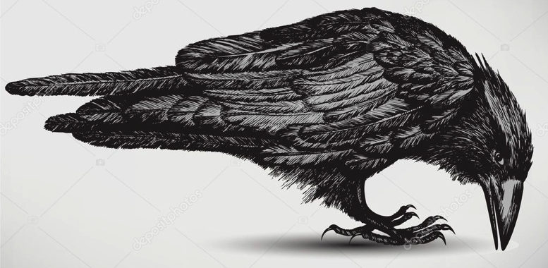 Edgar Allan Poe and ‘The Raven’ Inspired the Qravity Blockchain Platform